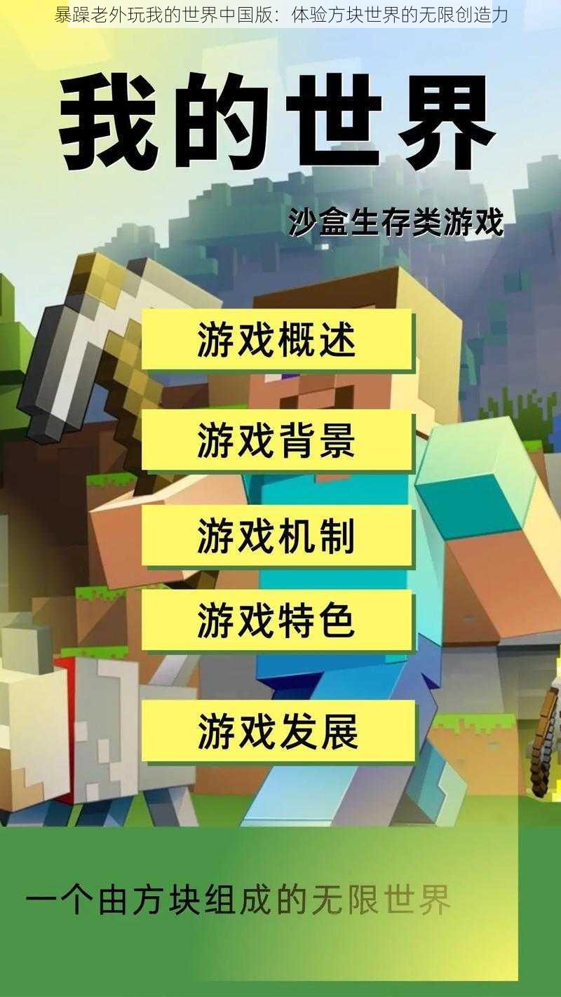 暴躁老外玩我的世界中国版：体验方块世界的无限创造力